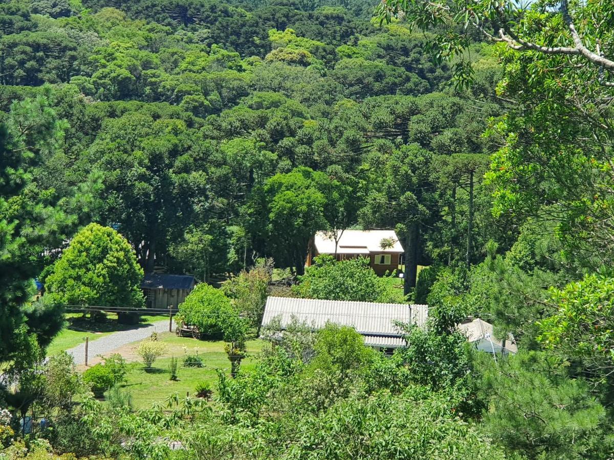Sitio Recanto Feliz Gramado Exterior foto