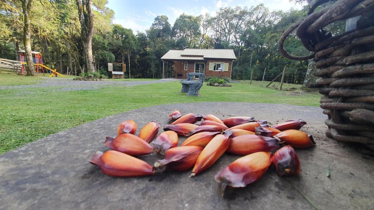 Sitio Recanto Feliz Gramado Exterior foto